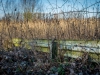WEISS Streckenende