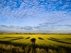 09_Himmel trifft Erde