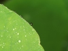 19_DSC04303