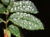 19_DSC04327
