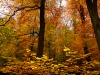 19_DSC04488