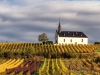16_Herbst-Abenheim