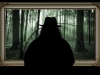 Nunz_vor_Waldbild