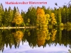 Mathiesleweiher