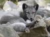 Tierpark Workshop 2
