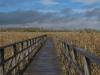 05_MichaelKorz (5)