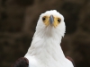 07_MichaelKorz (7)