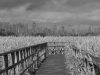 08_MichaelKorz (8)