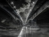 A_Bridge_Worms